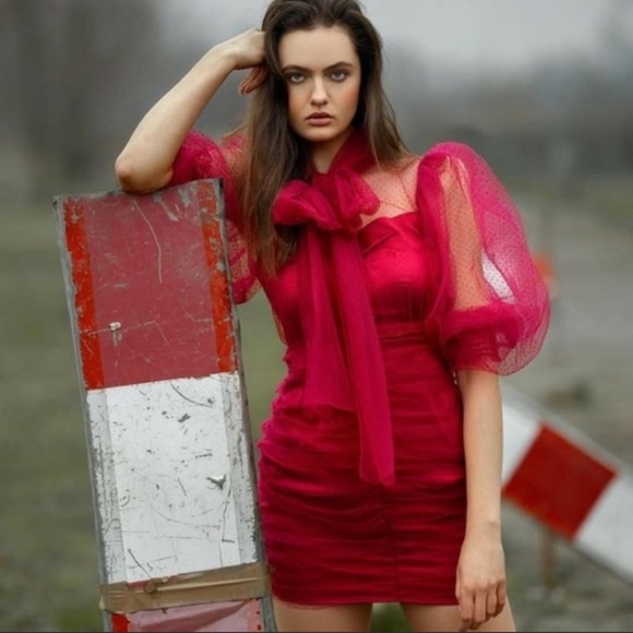 ZARA Tulle Swiss Dot Puff Sleeve Ruche Mini Dress Valentines Day Stunner 💋 - Picture 6 of 9